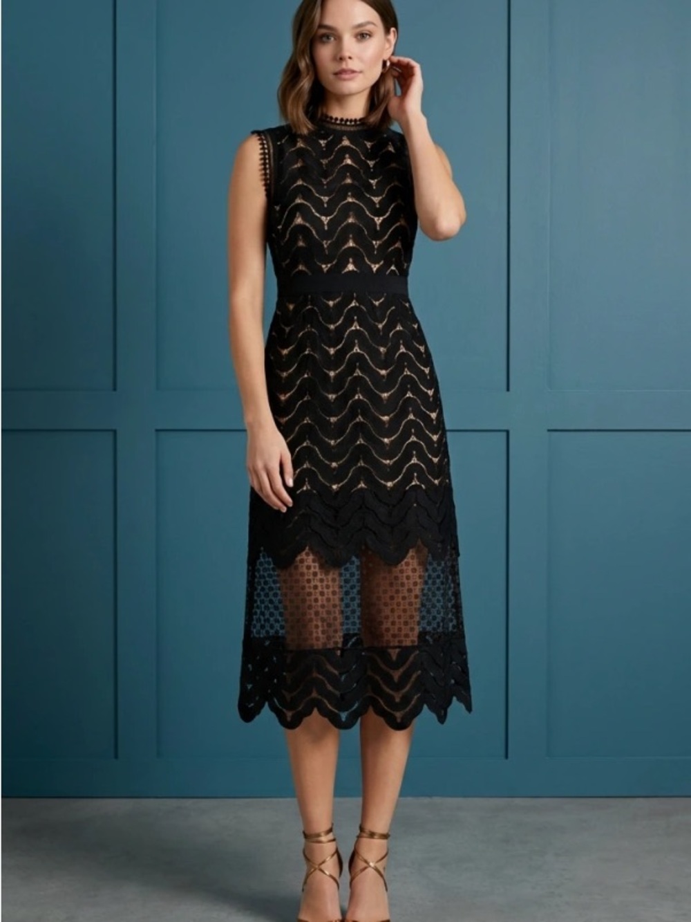 Self-Portrait Black Sleeveless Lace Midi Dress with Scalloped Hem
Size: XS (4)
